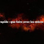 Réponse rapide : que faire avec les mûres sauvages